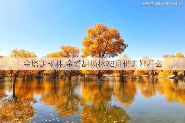 金塔胡杨林,金塔胡杨林78月份去好看么-第2张图片-奥莱旅游网