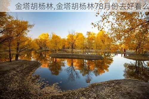 金塔胡杨林,金塔胡杨林78月份去好看么-第3张图片-奥莱旅游网