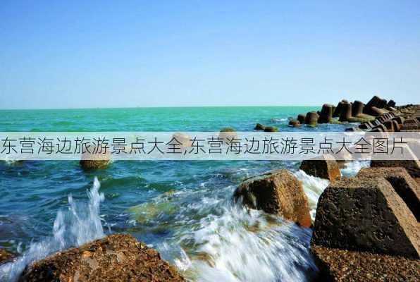 东营海边旅游景点大全,东营海边旅游景点大全图片-第3张图片-奥莱旅游网