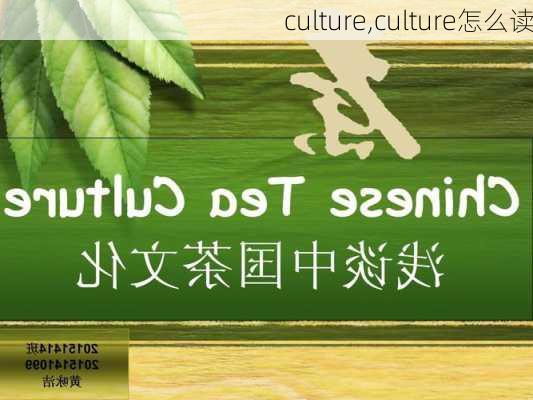 culture,culture怎么读-第1张图片-奥莱旅游网