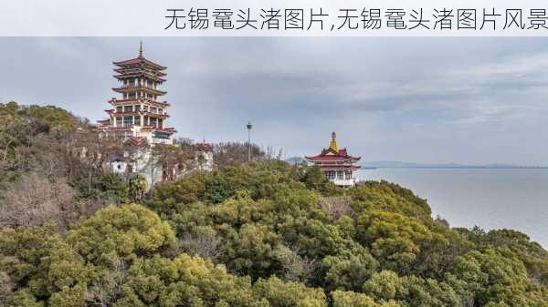 无锡鼋头渚图片,无锡鼋头渚图片风景-第2张图片-奥莱旅游网