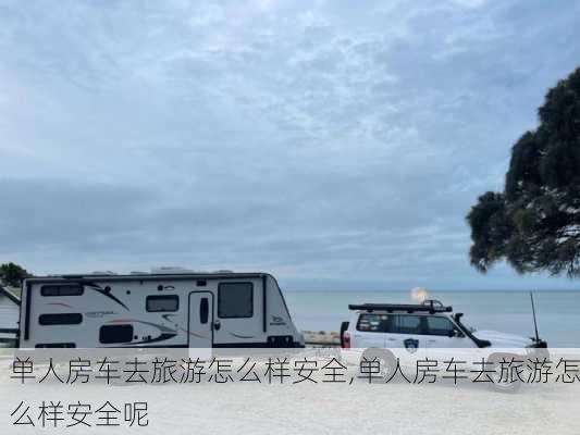 单人房车去旅游怎么样安全,单人房车去旅游怎么样安全呢-第2张图片-奥莱旅游网