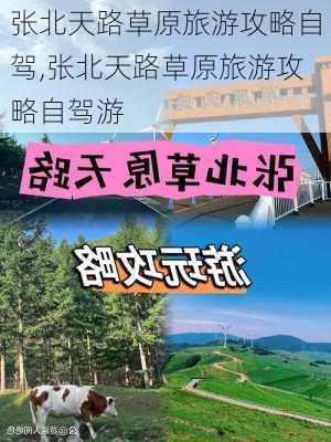 张北天路草原旅游攻略自驾,张北天路草原旅游攻略自驾游-第2张图片-奥莱旅游网