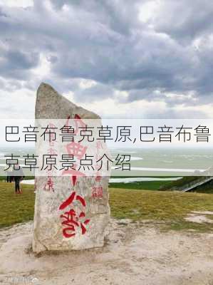 巴音布鲁克草原,巴音布鲁克草原景点介绍-第1张图片-奥莱旅游网