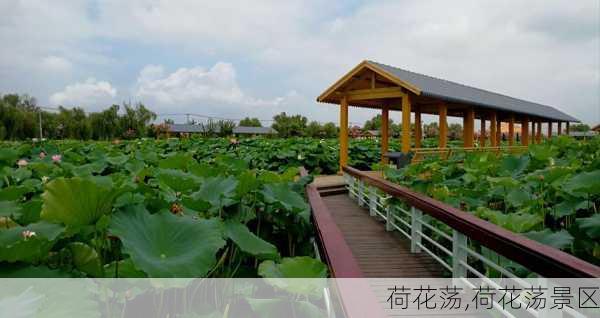 荷花荡,荷花荡景区-第2张图片-奥莱旅游网