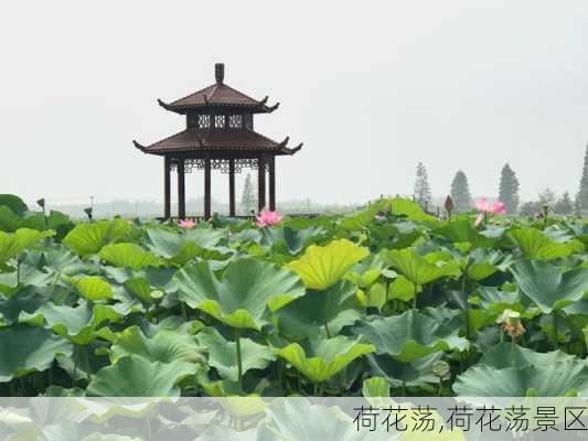 荷花荡,荷花荡景区-第3张图片-奥莱旅游网