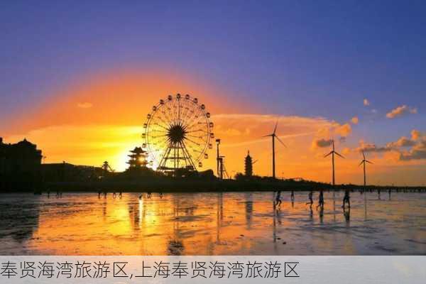 奉贤海湾旅游区,上海奉贤海湾旅游区-第2张图片-奥莱旅游网