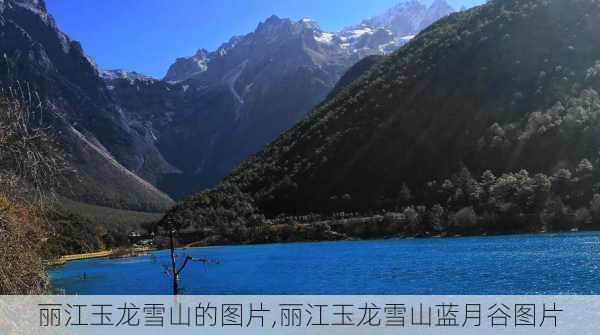 丽江玉龙雪山的图片,丽江玉龙雪山蓝月谷图片-第1张图片-奥莱旅游网