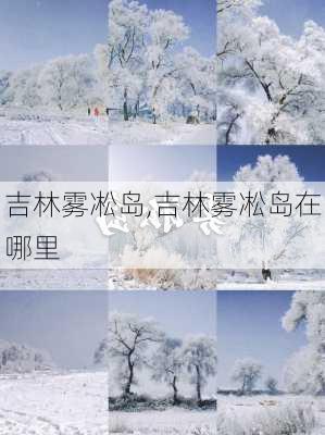 吉林雾凇岛,吉林雾凇岛在哪里-第2张图片-奥莱旅游网