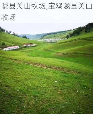 陇县关山牧场,宝鸡陇县关山牧场