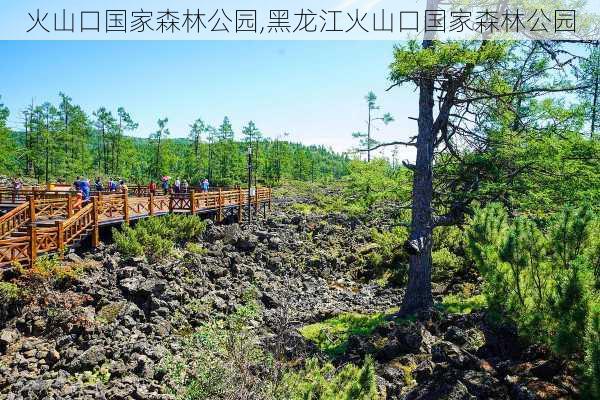 火山口国家森林公园,黑龙江火山口国家森林公园-第1张图片-奥莱旅游网