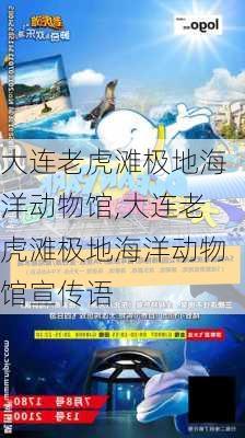 大连老虎滩极地海洋动物馆,大连老虎滩极地海洋动物馆宣传语-第2张图片-奥莱旅游网