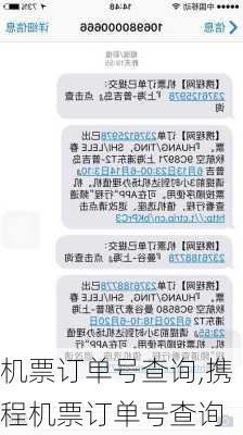 机票订单号查询,携程机票订单号查询