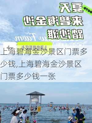 上海碧海金沙景区门票多少钱,上海碧海金沙景区门票多少钱一张-第3张图片-奥莱旅游网