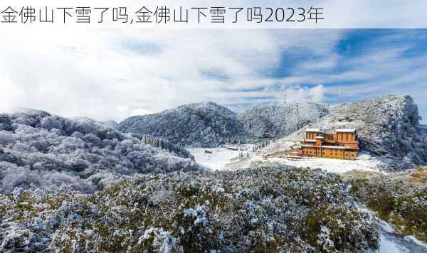 金佛山下雪了吗,金佛山下雪了吗2023年-第2张图片-奥莱旅游网