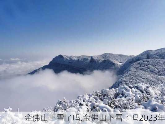 金佛山下雪了吗,金佛山下雪了吗2023年-第1张图片-奥莱旅游网