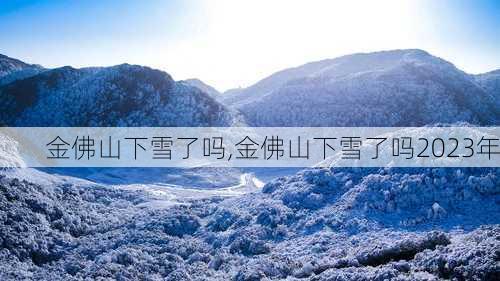 金佛山下雪了吗,金佛山下雪了吗2023年-第3张图片-奥莱旅游网