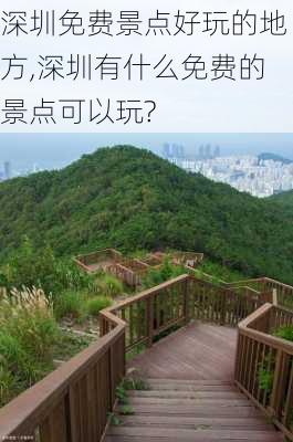 深圳免费景点好玩的地方,深圳有什么免费的景点可以玩?-第1张图片-奥莱旅游网