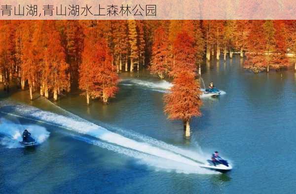 青山湖,青山湖水上森林公园-第2张图片-奥莱旅游网