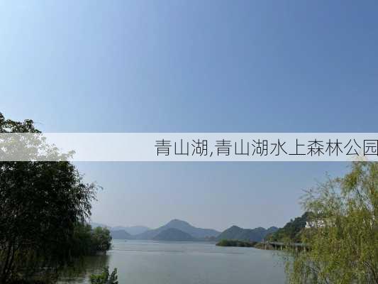 青山湖,青山湖水上森林公园