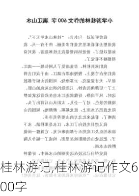 桂林游记,桂林游记作文600字-第1张图片-奥莱旅游网