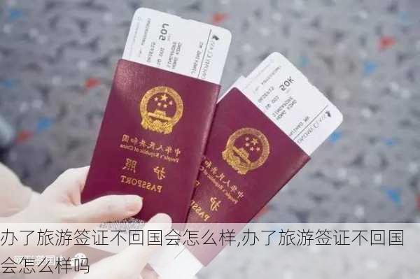 办了旅游签证不回国会怎么样,办了旅游签证不回国会怎么样吗-第3张图片-奥莱旅游网