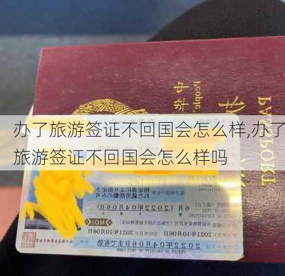 办了旅游签证不回国会怎么样,办了旅游签证不回国会怎么样吗-第2张图片-奥莱旅游网