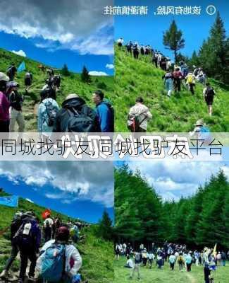 同城找驴友,同城找驴友平台-第1张图片-奥莱旅游网