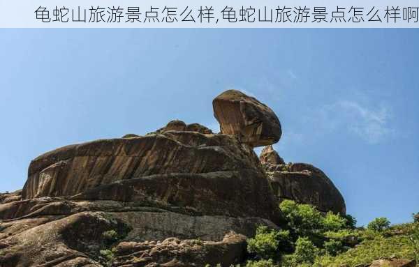 龟蛇山旅游景点怎么样,龟蛇山旅游景点怎么样啊-第3张图片-奥莱旅游网