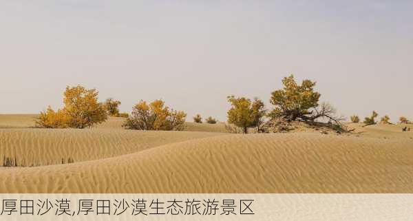 厚田沙漠,厚田沙漠生态旅游景区-第1张图片-奥莱旅游网