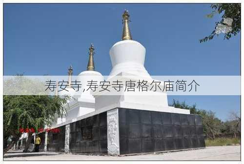 寿安寺,寿安寺唐格尔庙简介-第3张图片-奥莱旅游网