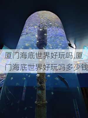 厦门海底世界好玩吗,厦门海底世界好玩吗多少钱-第2张图片-奥莱旅游网