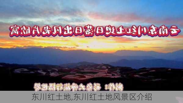 东川红土地,东川红土地风景区介绍-第2张图片-奥莱旅游网