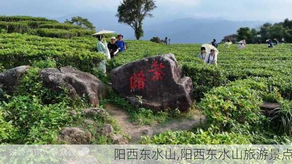 阳西东水山,阳西东水山旅游景点-第2张图片-奥莱旅游网