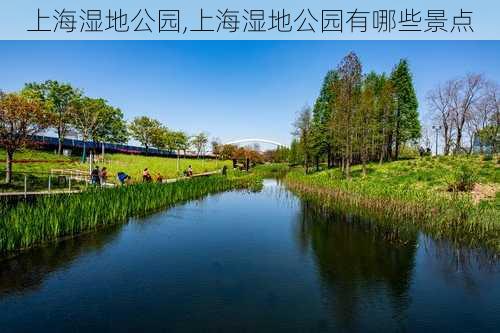 上海湿地公园,上海湿地公园有哪些景点-第1张图片-奥莱旅游网