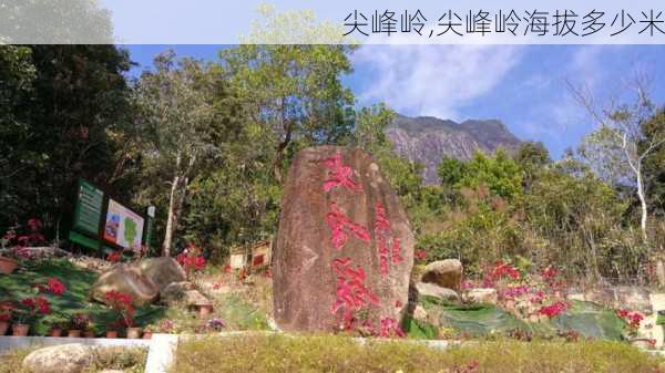 尖峰岭,尖峰岭海拔多少米-第2张图片-奥莱旅游网