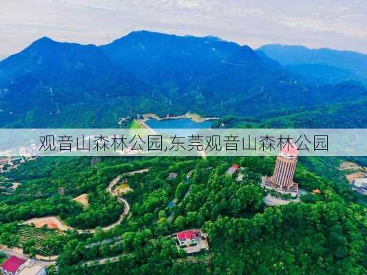 观音山森林公园,东莞观音山森林公园-第3张图片-奥莱旅游网