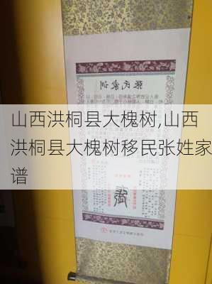 山西洪桐县大槐树,山西洪桐县大槐树移民张姓家谱