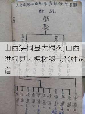 山西洪桐县大槐树,山西洪桐县大槐树移民张姓家谱-第3张图片-奥莱旅游网