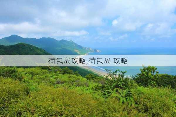 荷包岛攻略,荷包岛 攻略-第2张图片-奥莱旅游网