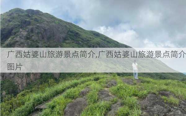 广西姑婆山旅游景点简介,广西姑婆山旅游景点简介图片