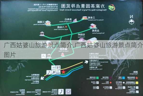 广西姑婆山旅游景点简介,广西姑婆山旅游景点简介图片-第2张图片-奥莱旅游网