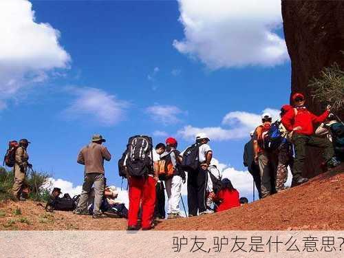 驴友,驴友是什么意思?-第2张图片-奥莱旅游网