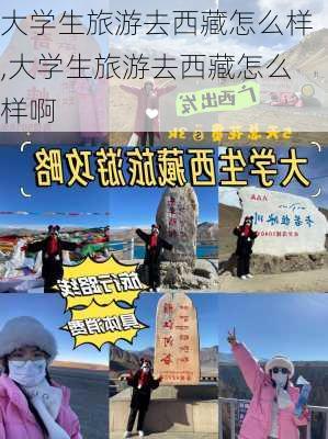 大学生旅游去西藏怎么样,大学生旅游去西藏怎么样啊-第1张图片-奥莱旅游网