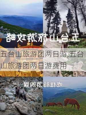 五台山旅游团两日游,五台山旅游团两日游费用-第3张图片-奥莱旅游网