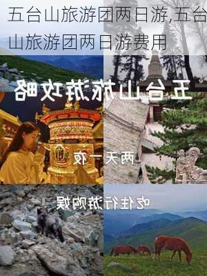 五台山旅游团两日游,五台山旅游团两日游费用-第2张图片-奥莱旅游网