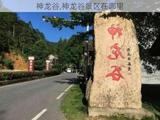 神龙谷,神龙谷景区在哪里