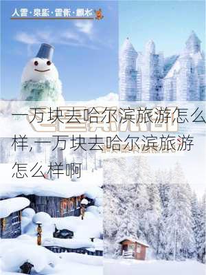 一万块去哈尔滨旅游怎么样,一万块去哈尔滨旅游怎么样啊-第1张图片-奥莱旅游网