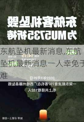 东航坠机最新消息,东航坠机最新消息一人幸免于难-第1张图片-奥莱旅游网