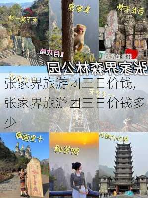 张家界旅游团三日价钱,张家界旅游团三日价钱多少-第2张图片-奥莱旅游网